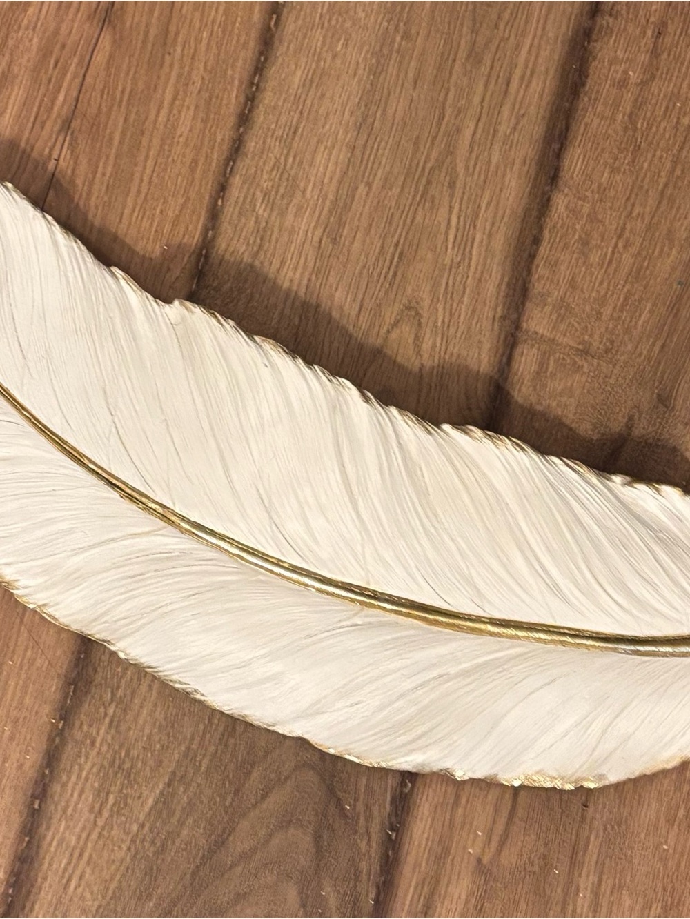 Elegant White and Gold Decorative Feather Wall Decor- Home Accents